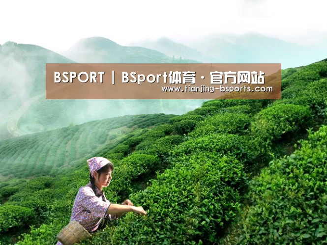 BSPORT | BSport体育·官方网站